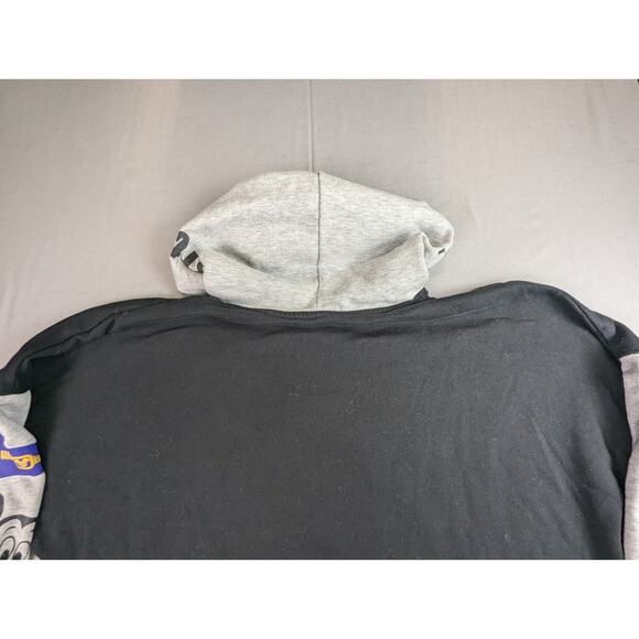 Disney World 50th Anniversary Vault Collection Hoodie Sweatshirt Pullover Large - Picture 14 of 16